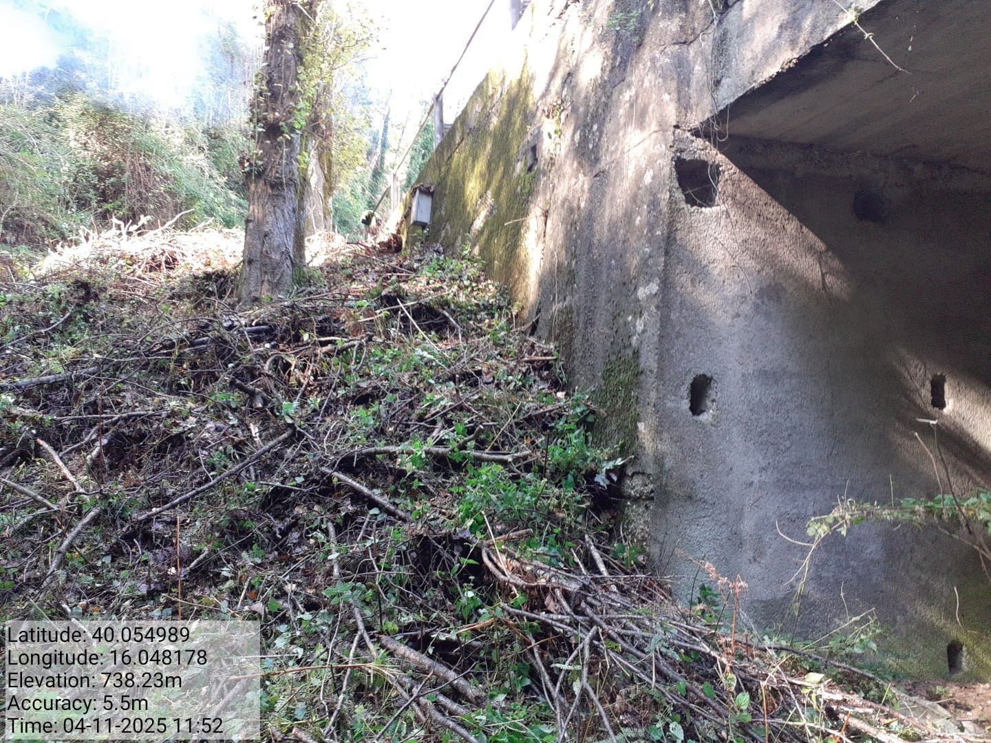 Galleria Fotografica Immagine