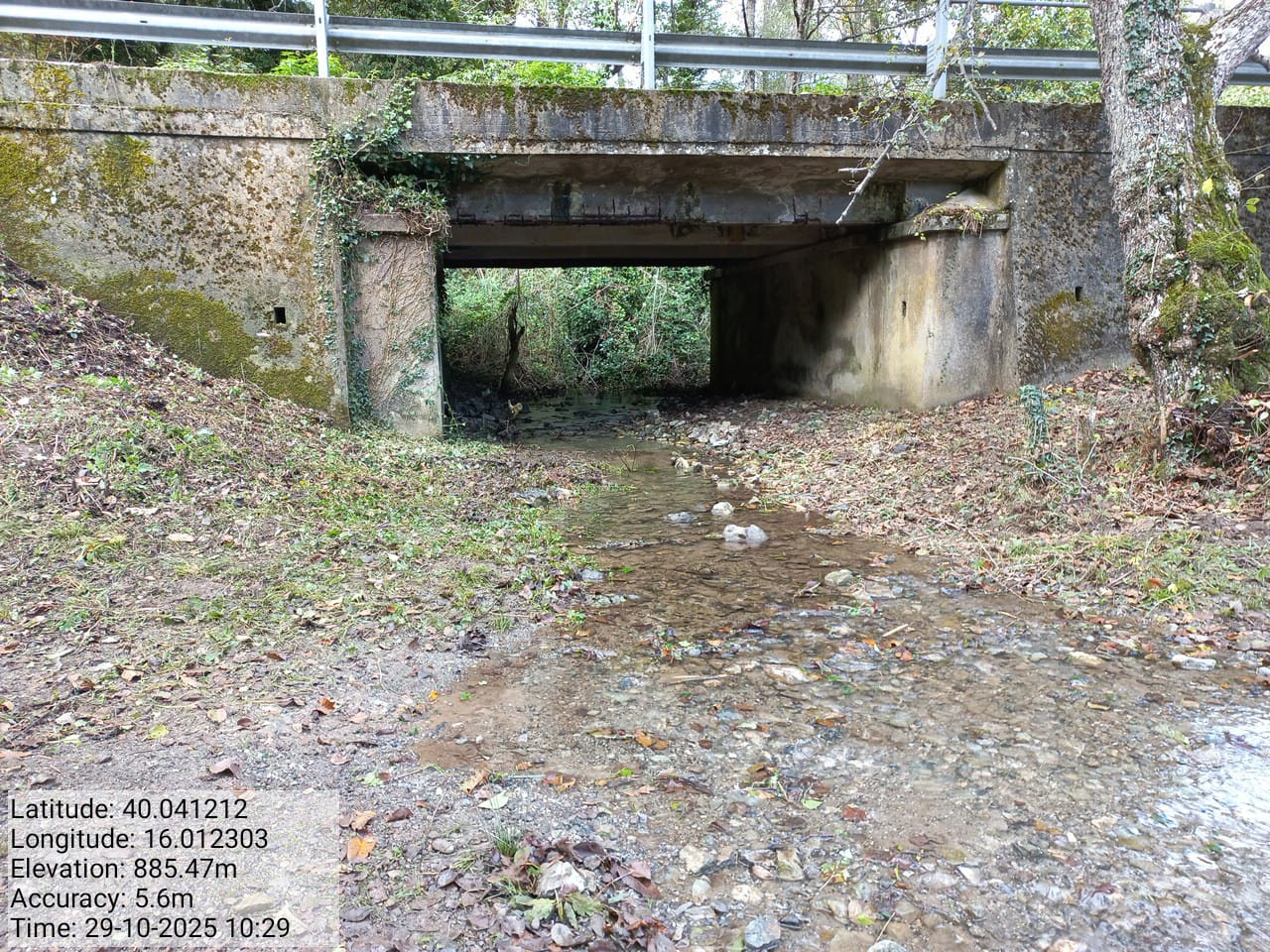 Galleria Fotografica Immagine