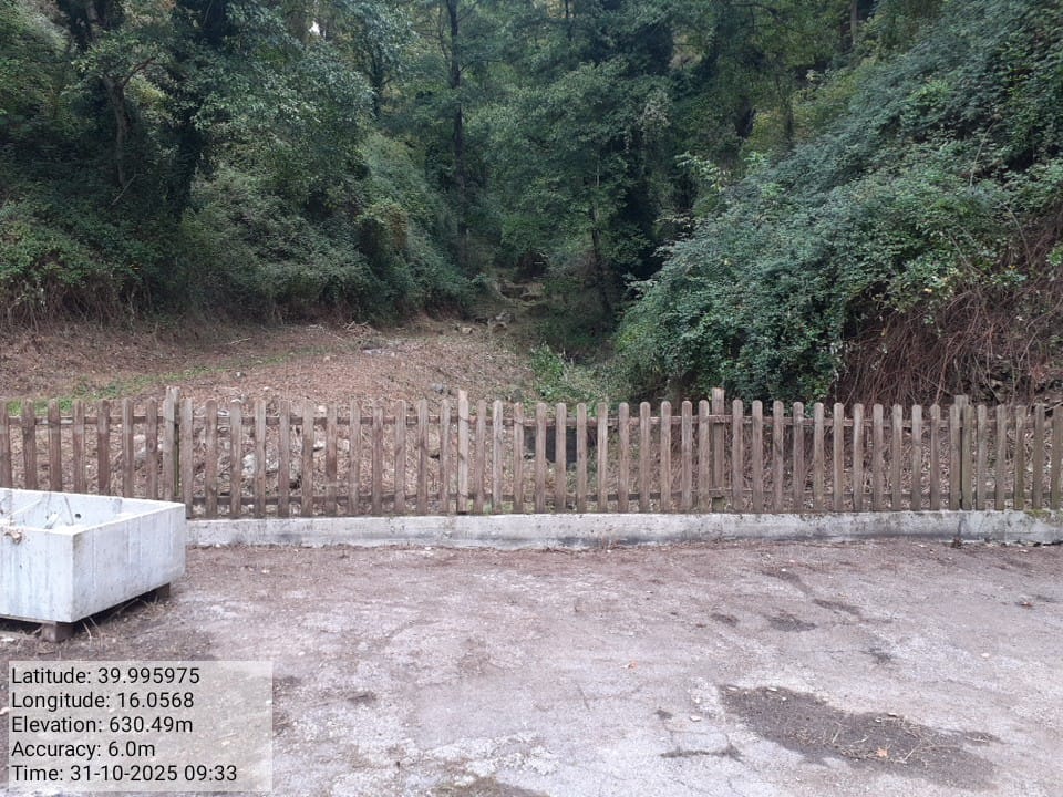 Galleria Fotografica Immagine