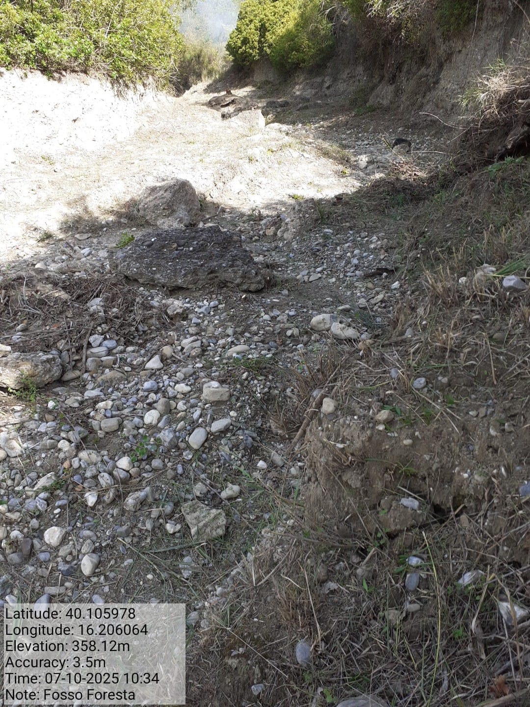 Galleria Fotografica Immagine