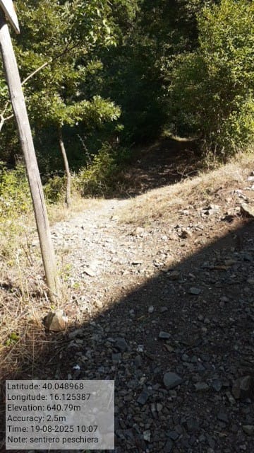 Galleria Fotografica Immagine