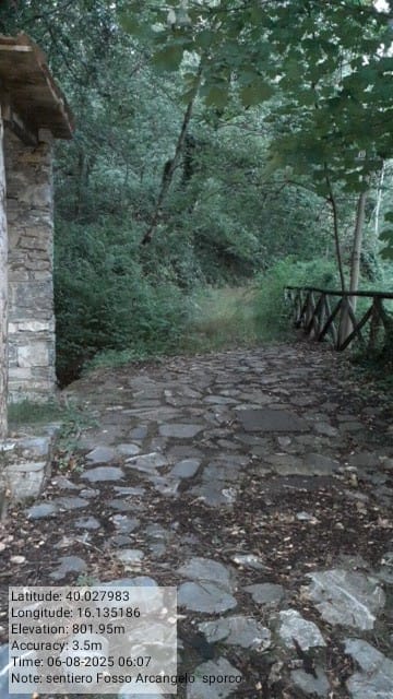 Galleria Fotografica Immagine