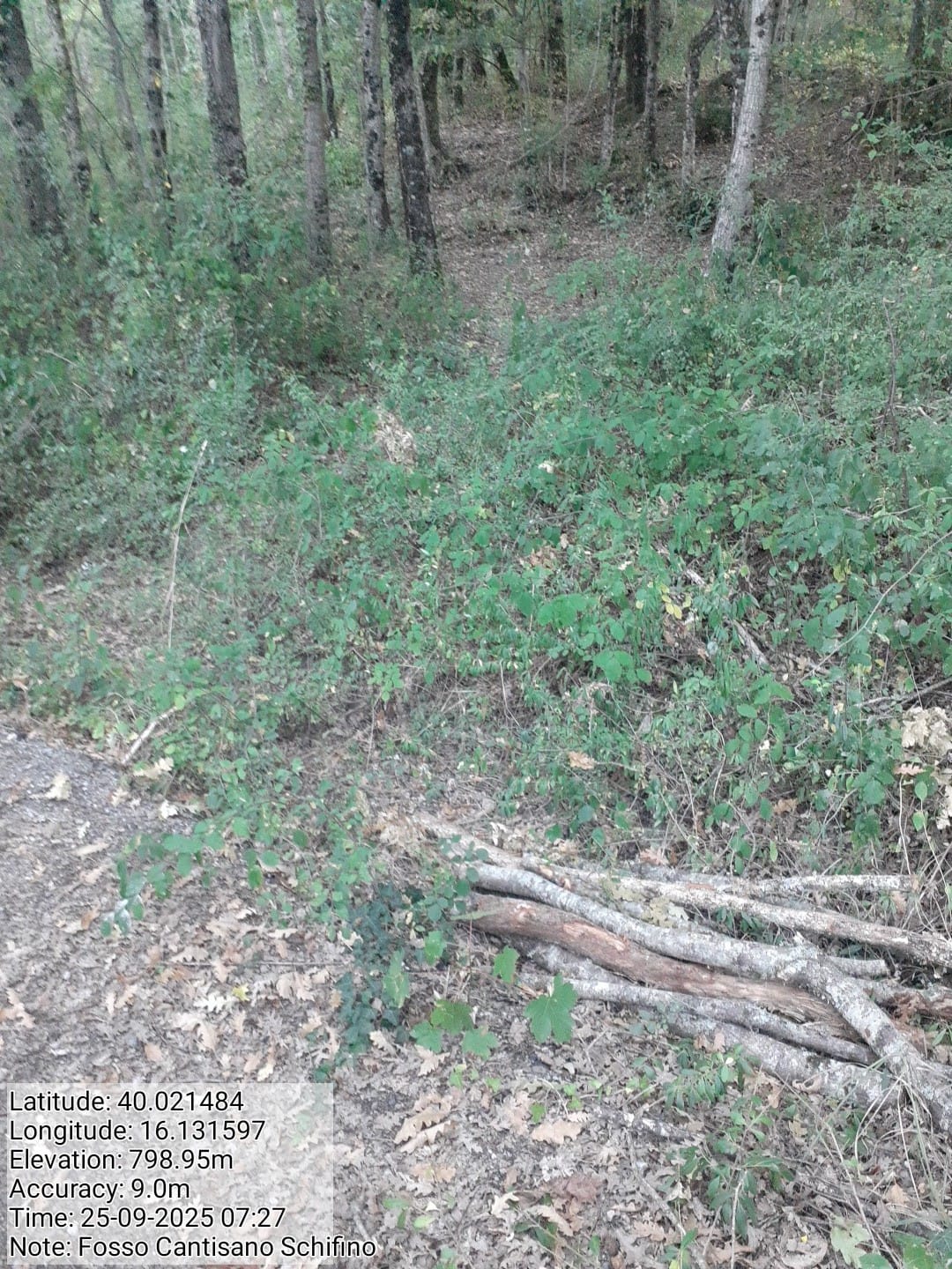 Galleria Fotografica Immagine