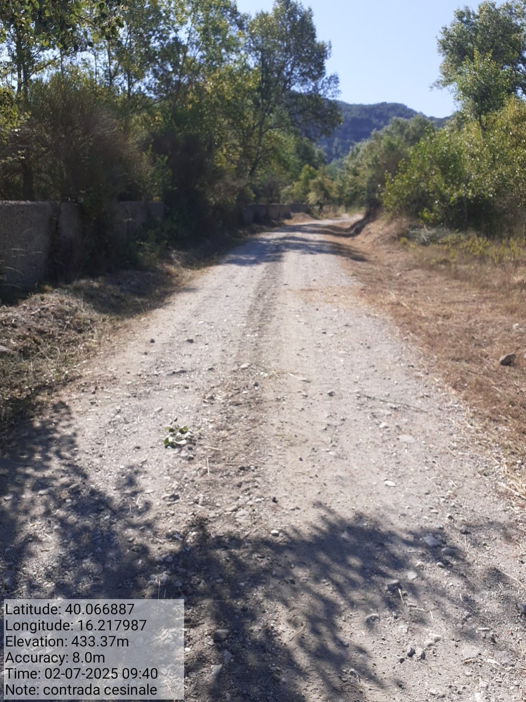 Galleria Fotografica Immagine