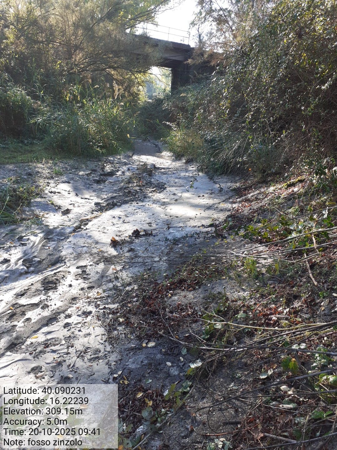 Galleria Fotografica Immagine