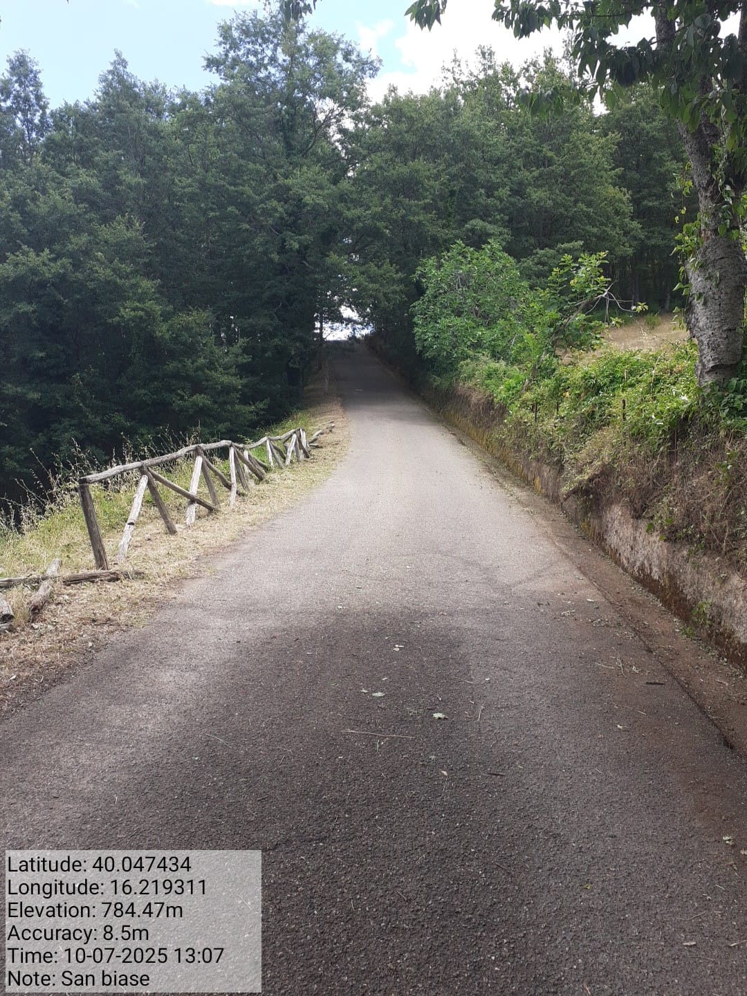 Galleria Fotografica Immagine