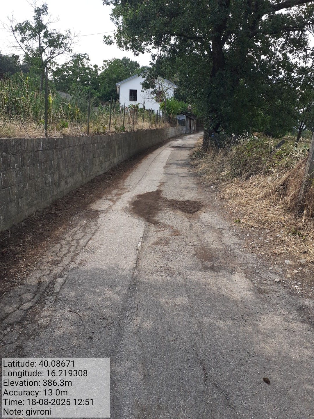 Galleria Fotografica Immagine