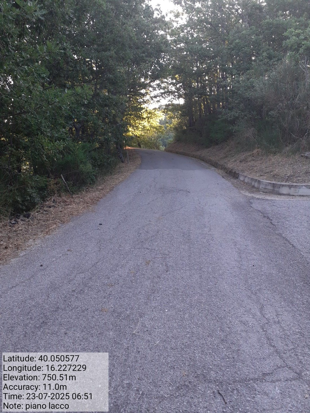 Galleria Fotografica Immagine