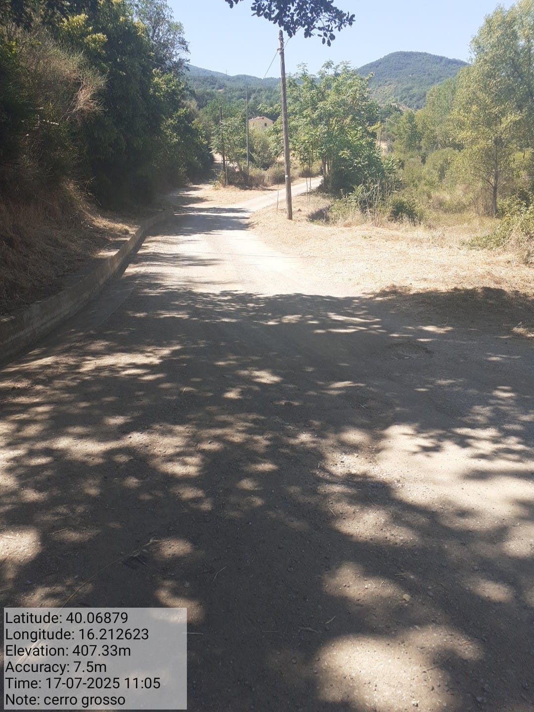 Galleria Fotografica Immagine