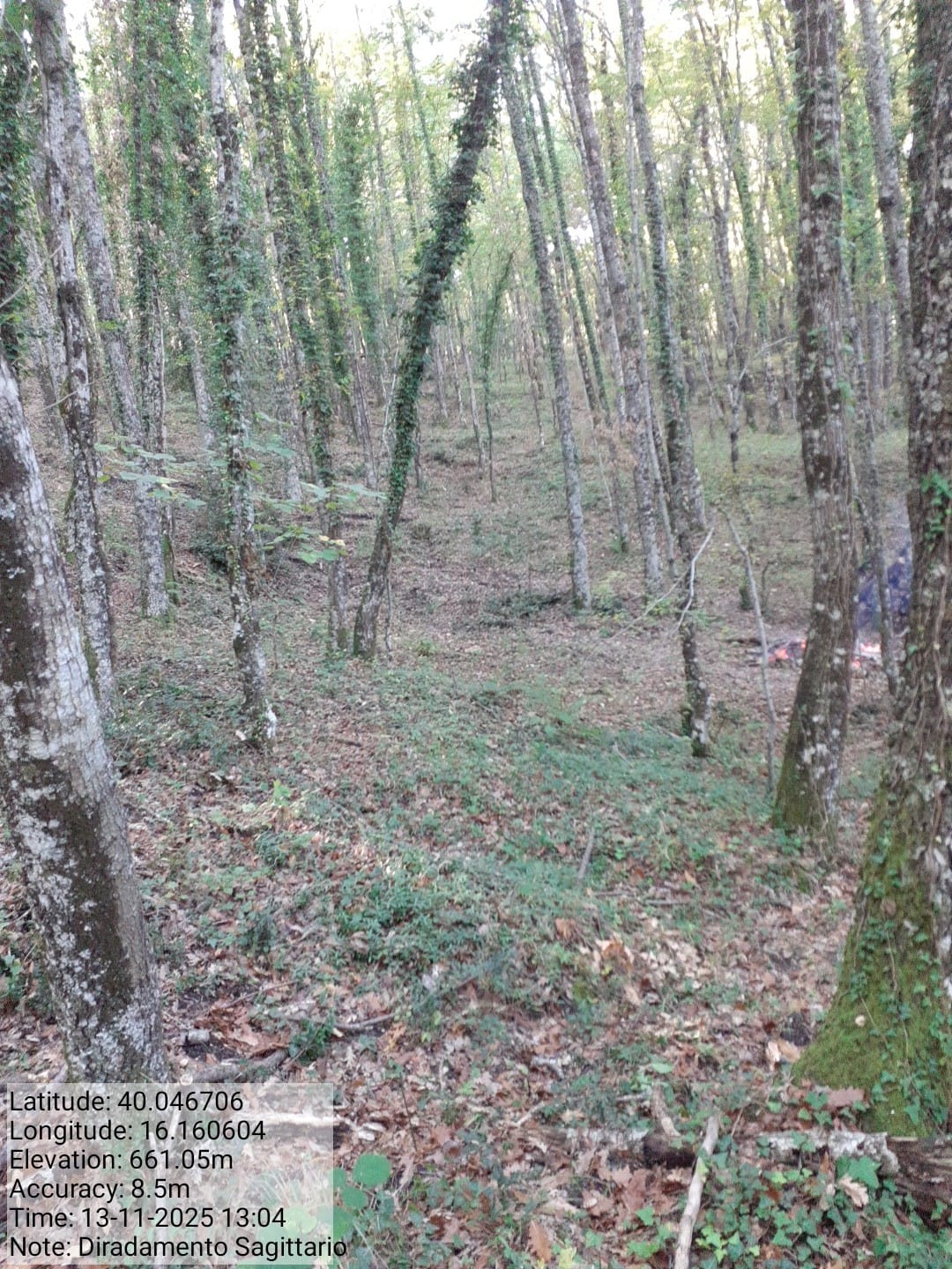 Galleria Fotografica Immagine