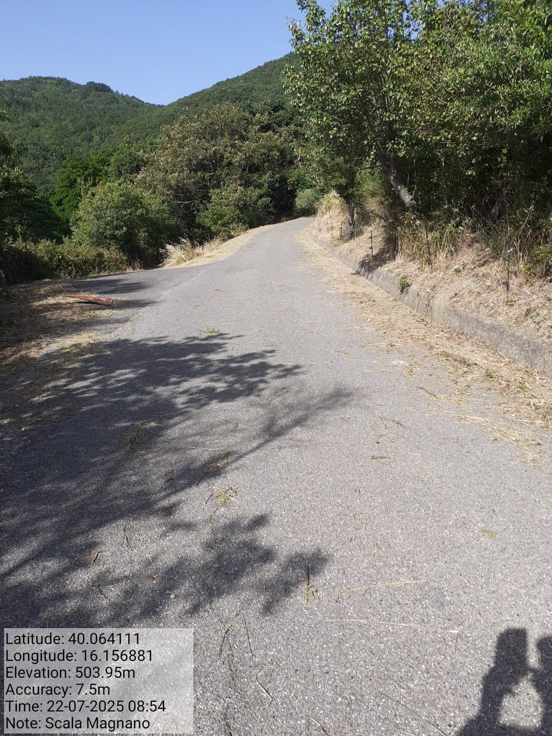 Galleria Fotografica Immagine