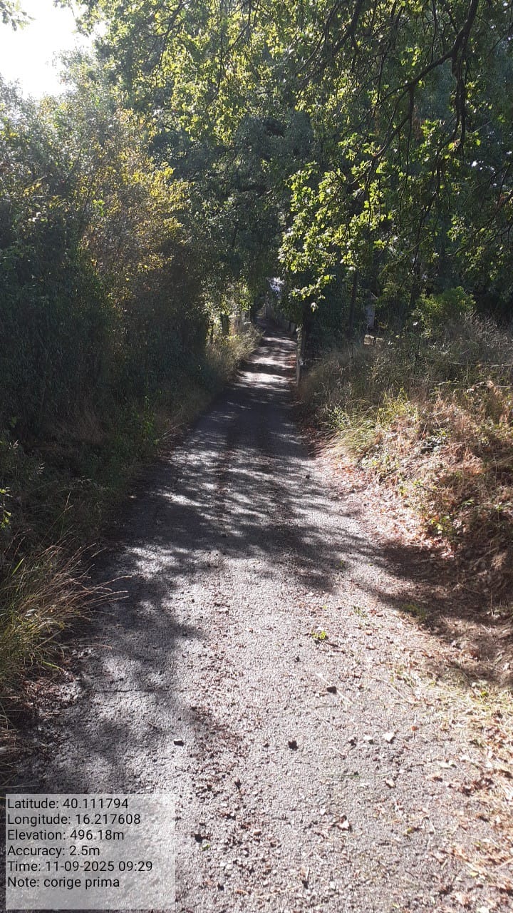 Galleria Fotografica Immagine