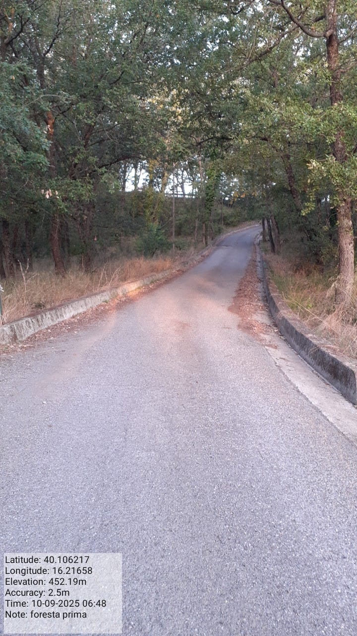 Galleria Fotografica Immagine