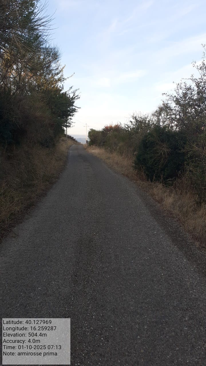 Galleria Fotografica Immagine