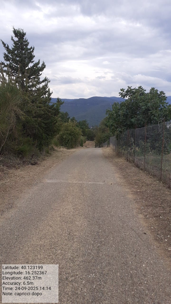 Galleria Fotografica Immagine