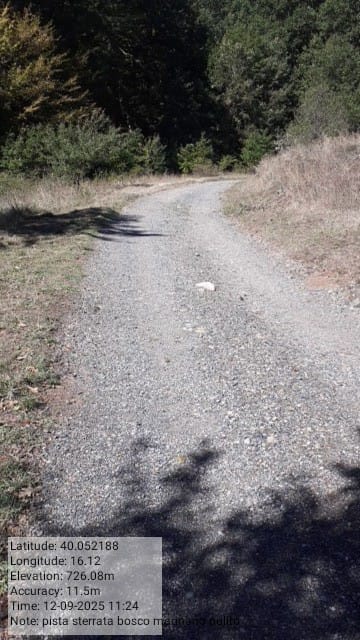 Galleria Fotografica Immagine