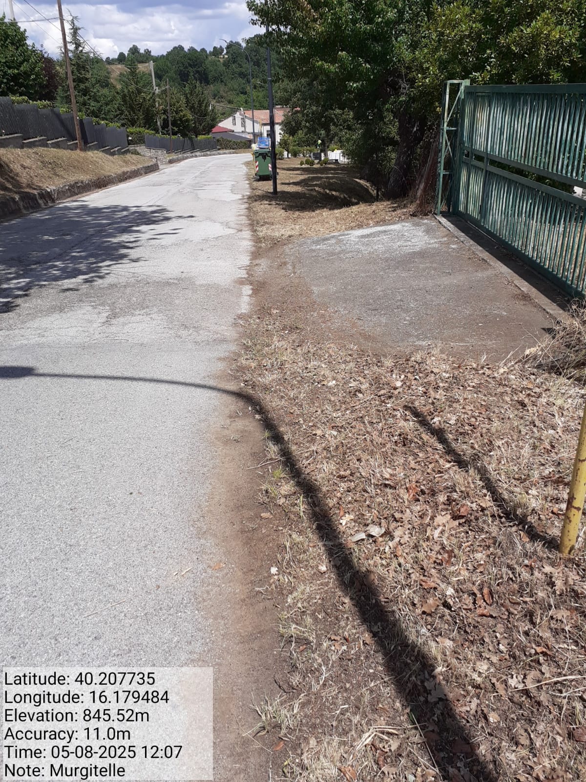 Galleria Fotografica Immagine