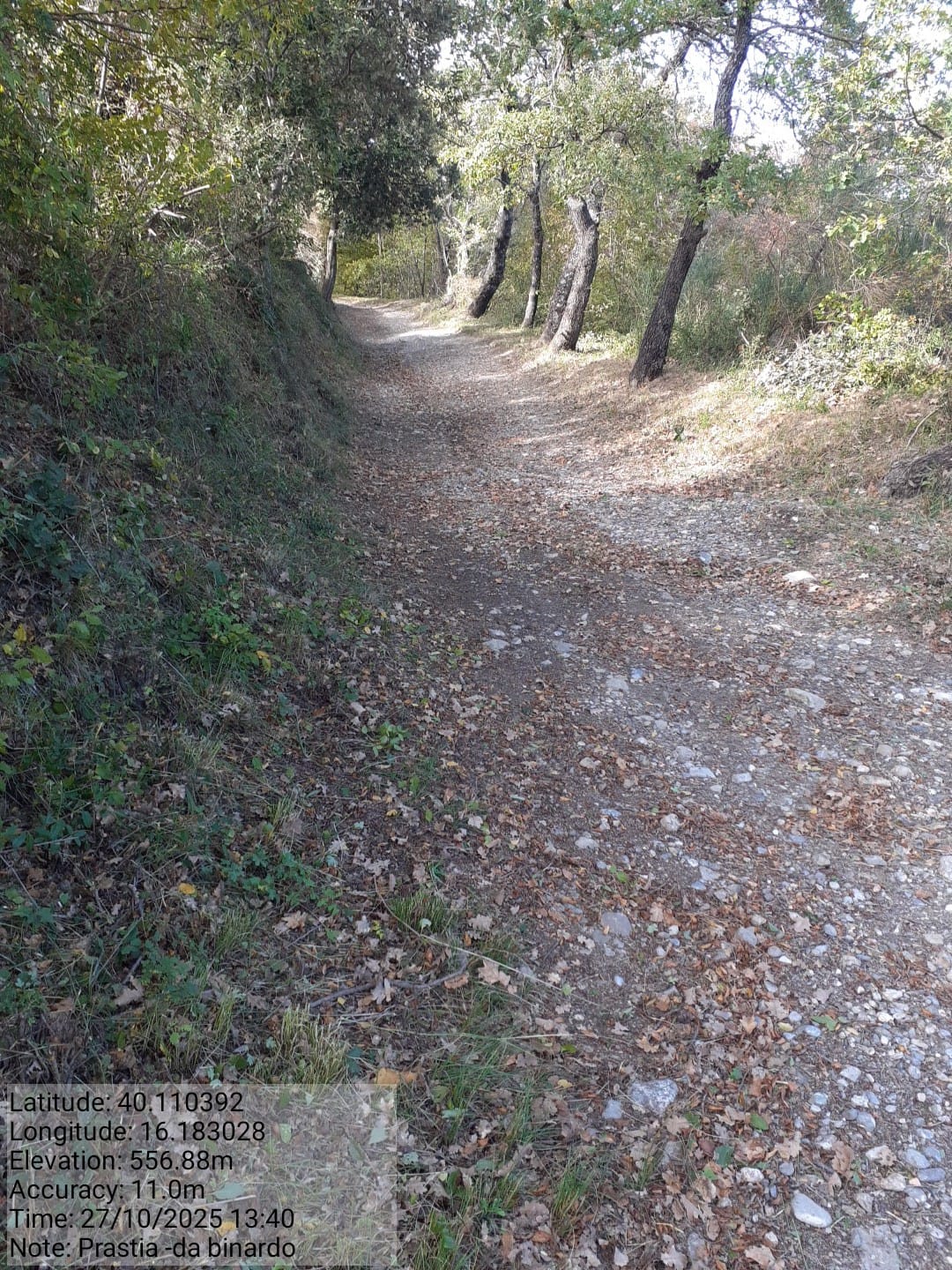 Galleria Fotografica Immagine