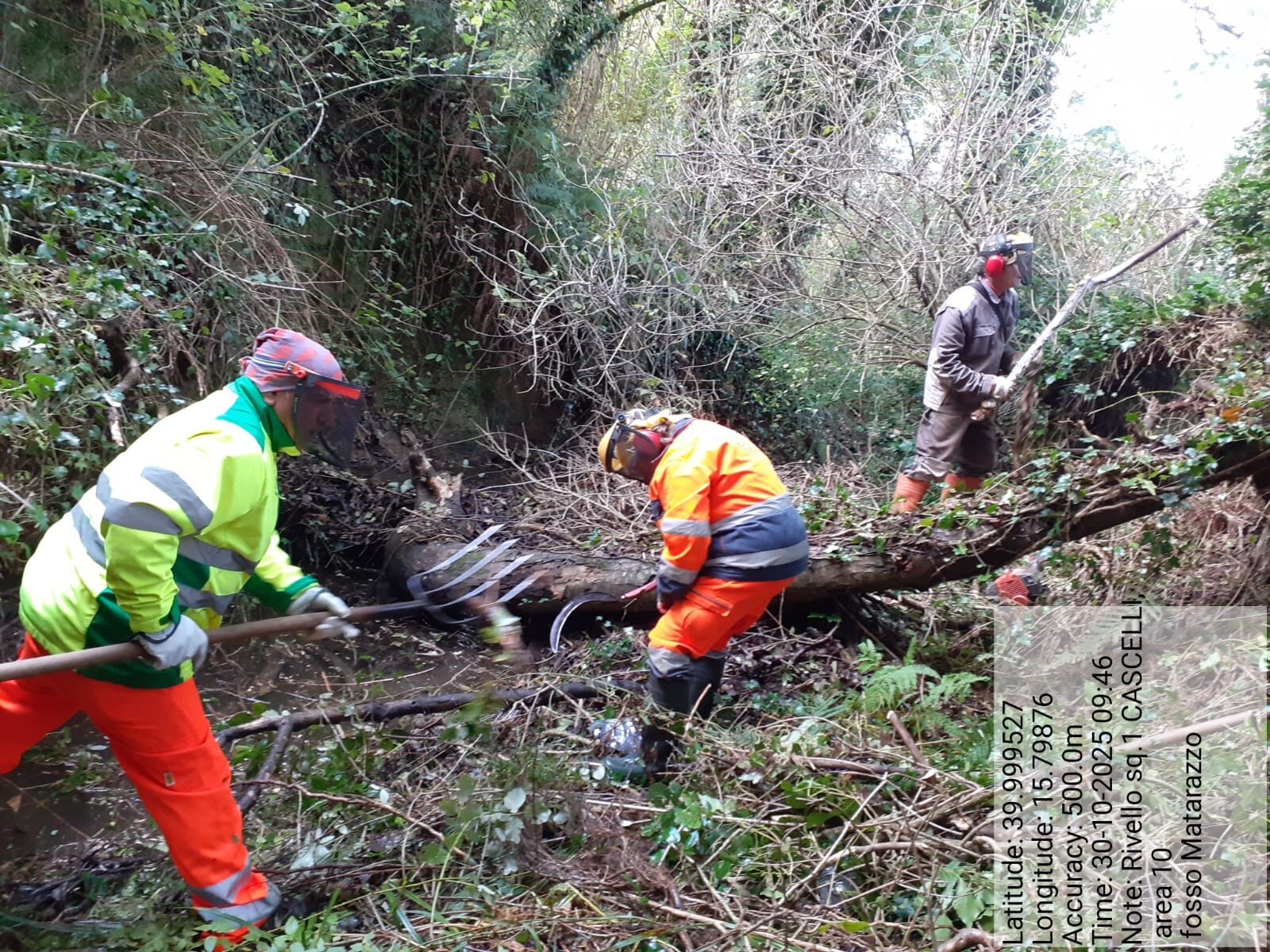 Galleria Fotografica Immagine