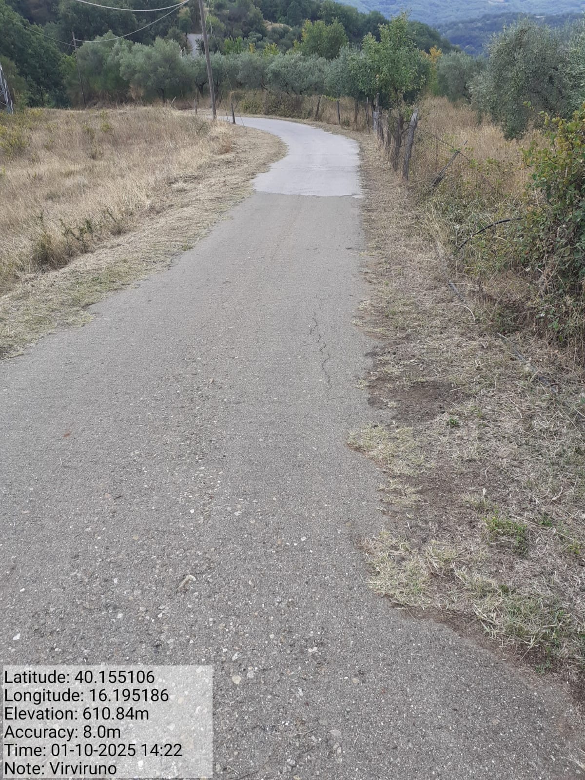 Galleria Fotografica Immagine