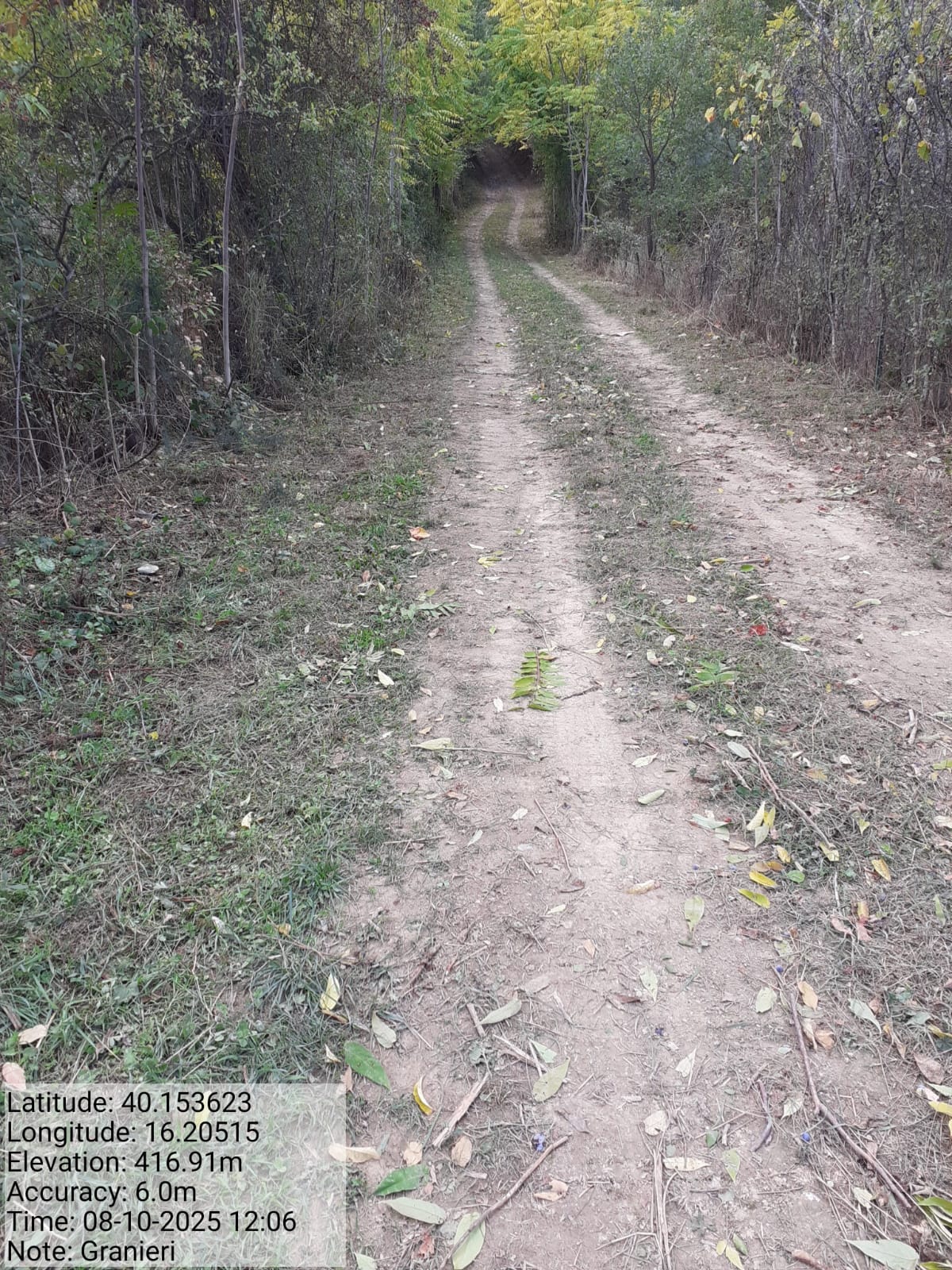 Galleria Fotografica Immagine