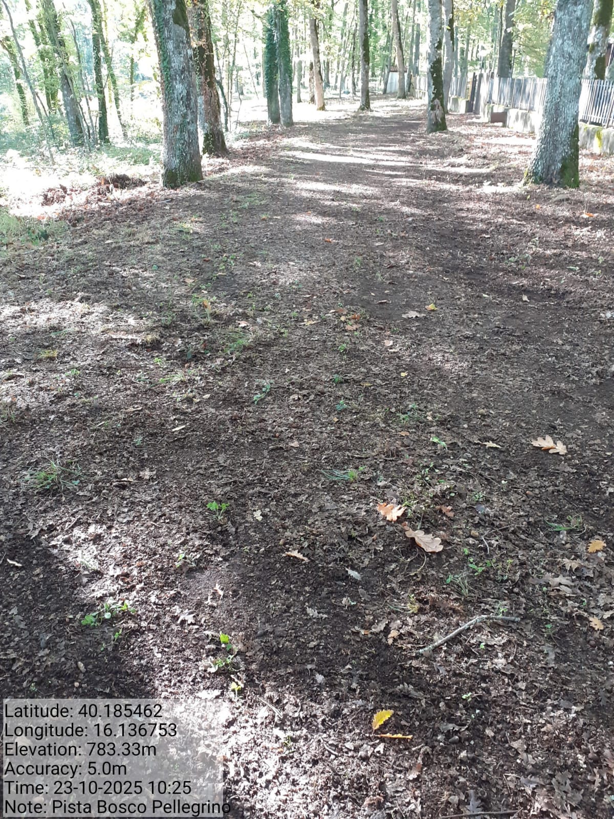 Galleria Fotografica Immagine