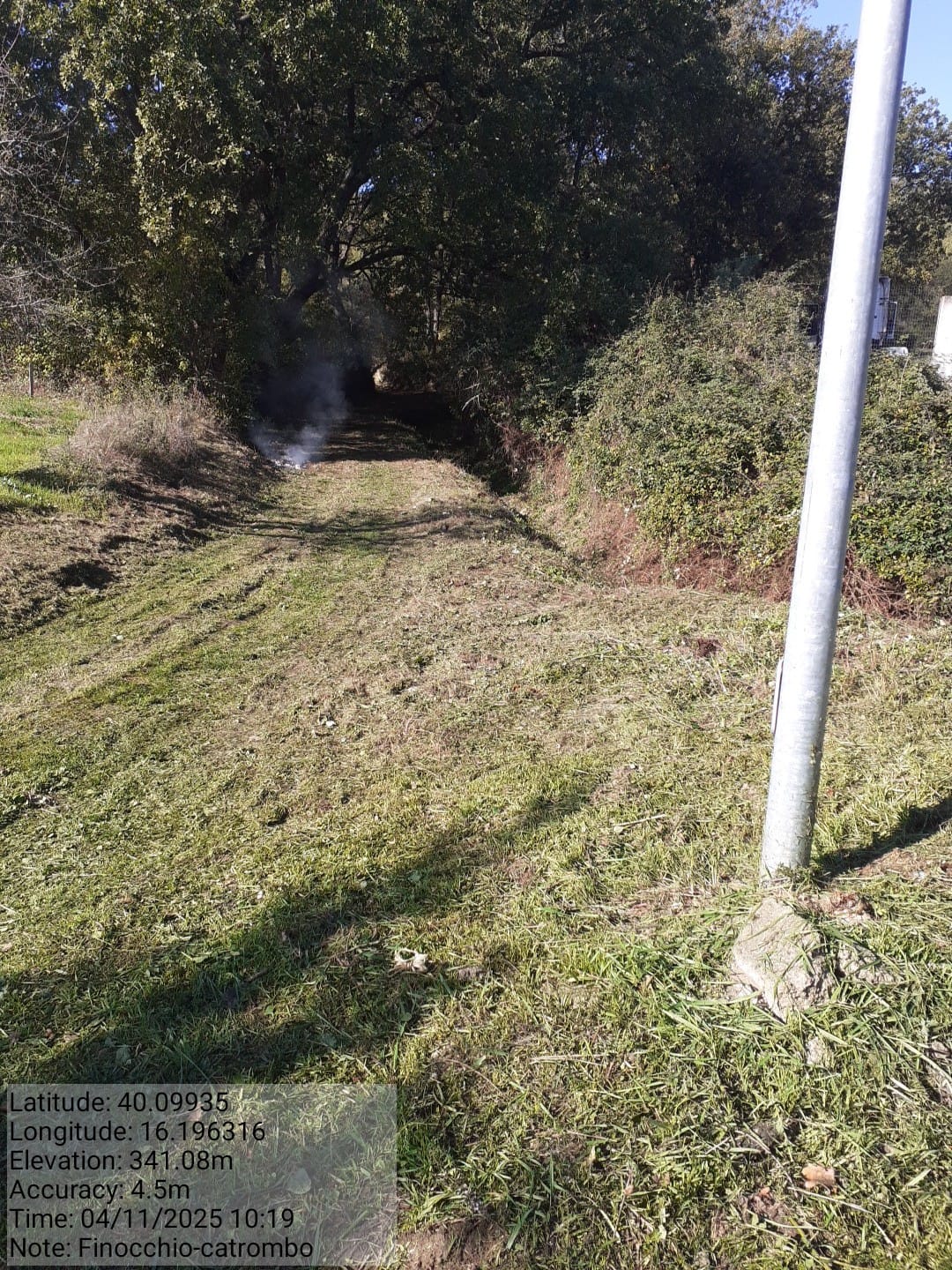 Galleria Fotografica Immagine