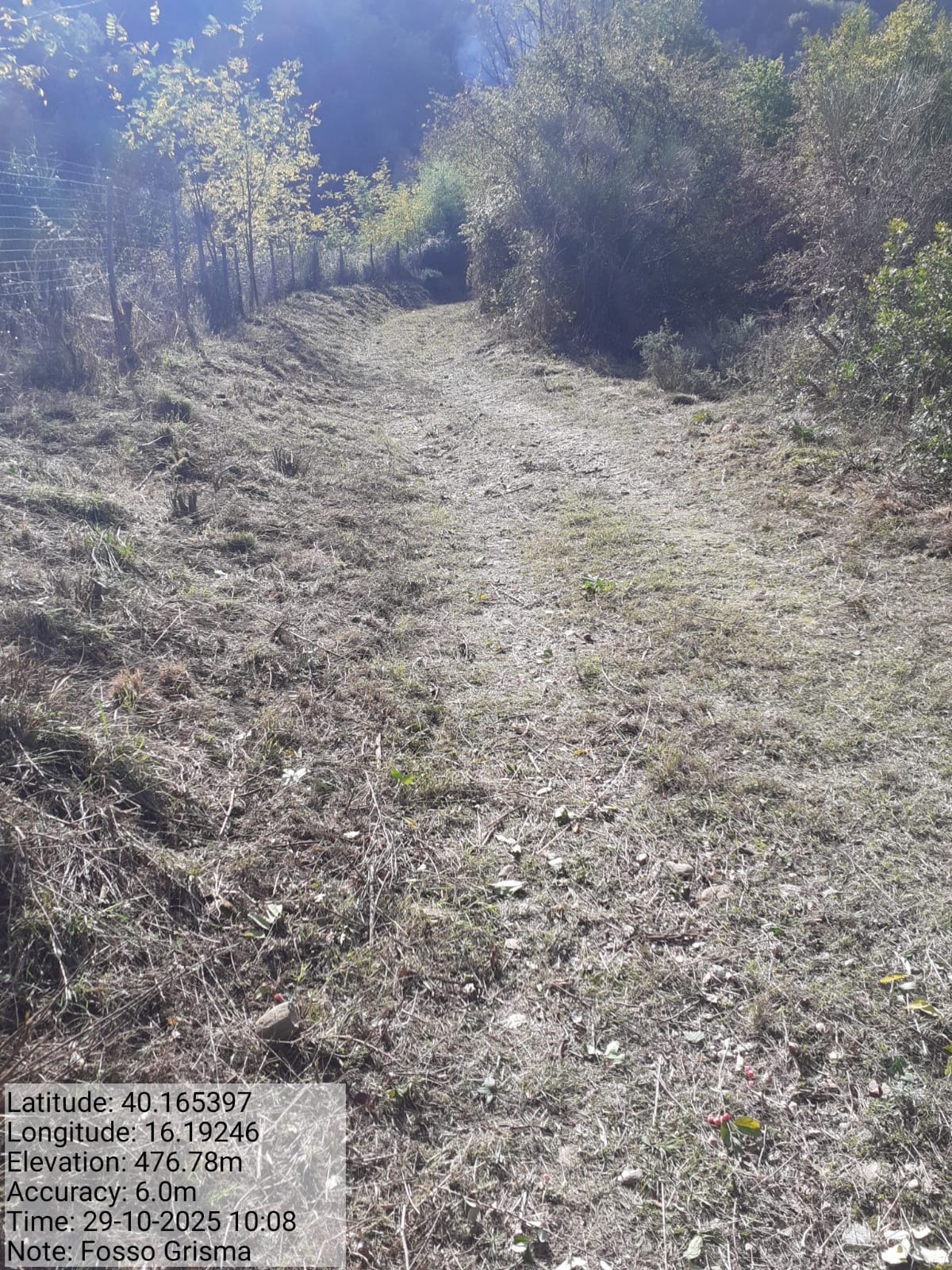 Galleria Fotografica Immagine