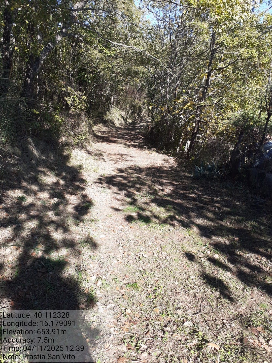 Galleria Fotografica Immagine