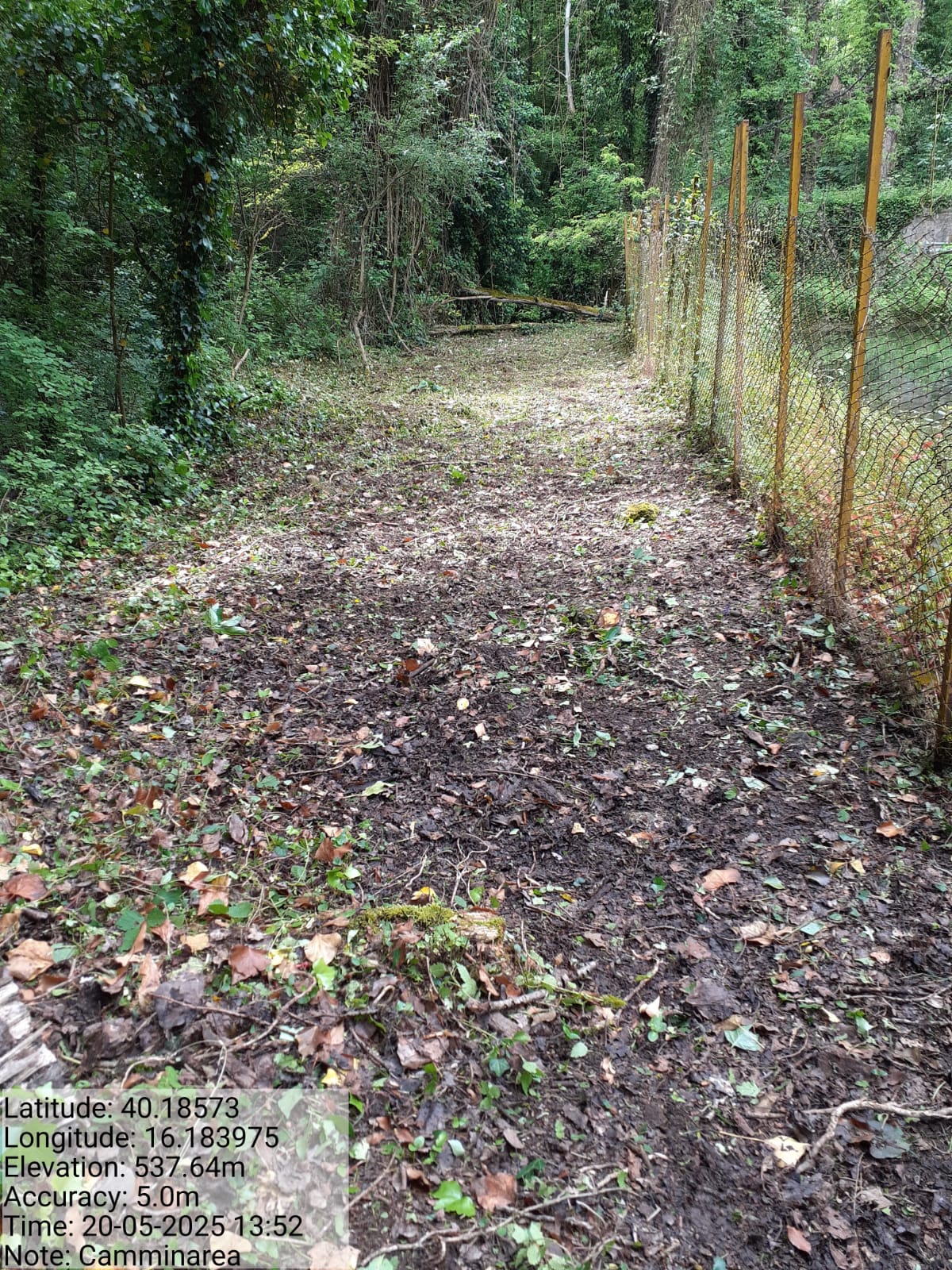 Galleria Fotografica Immagine