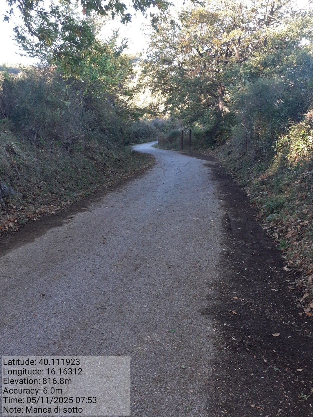 Galleria Fotografica Immagine