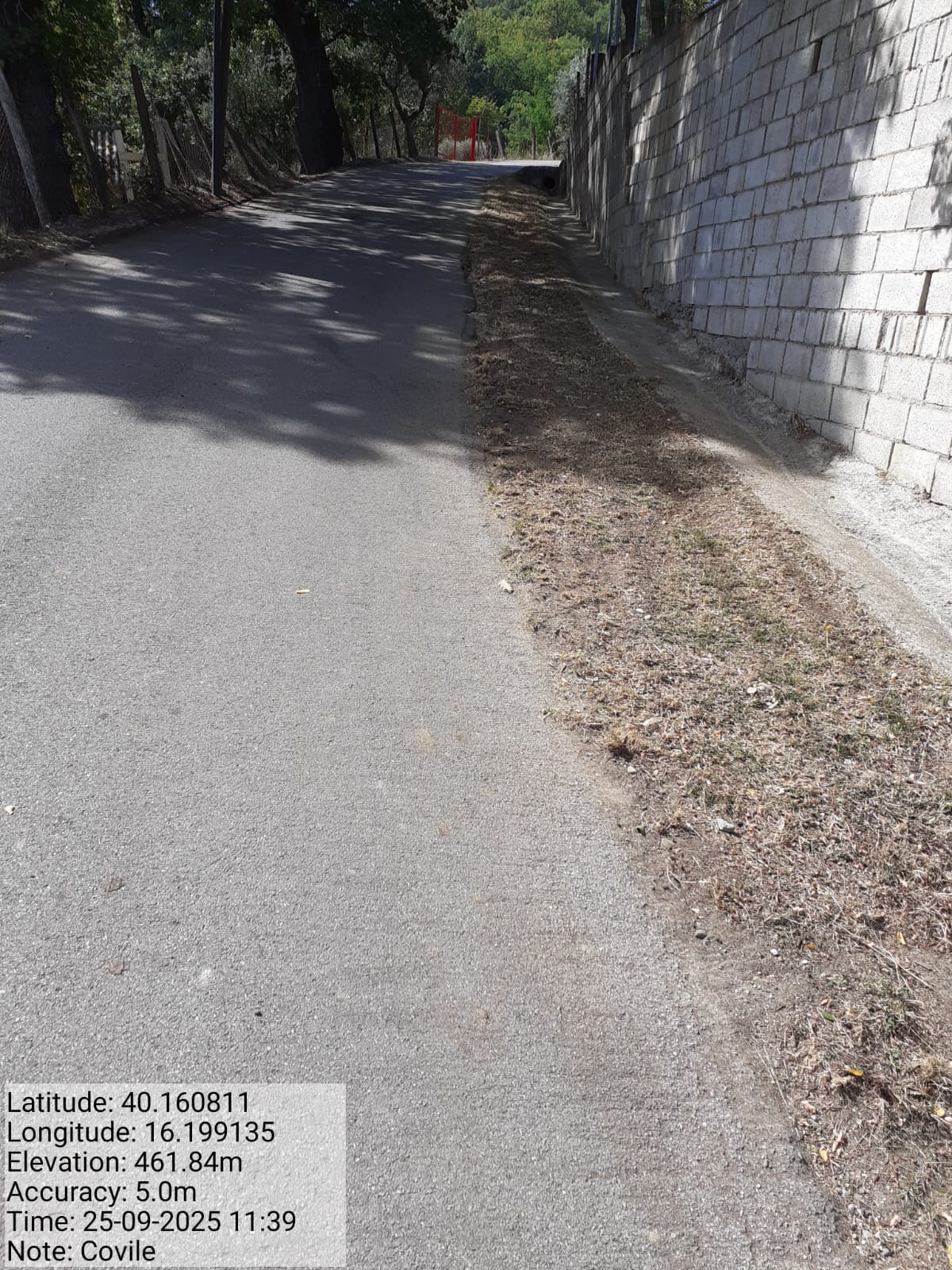 Galleria Fotografica Immagine