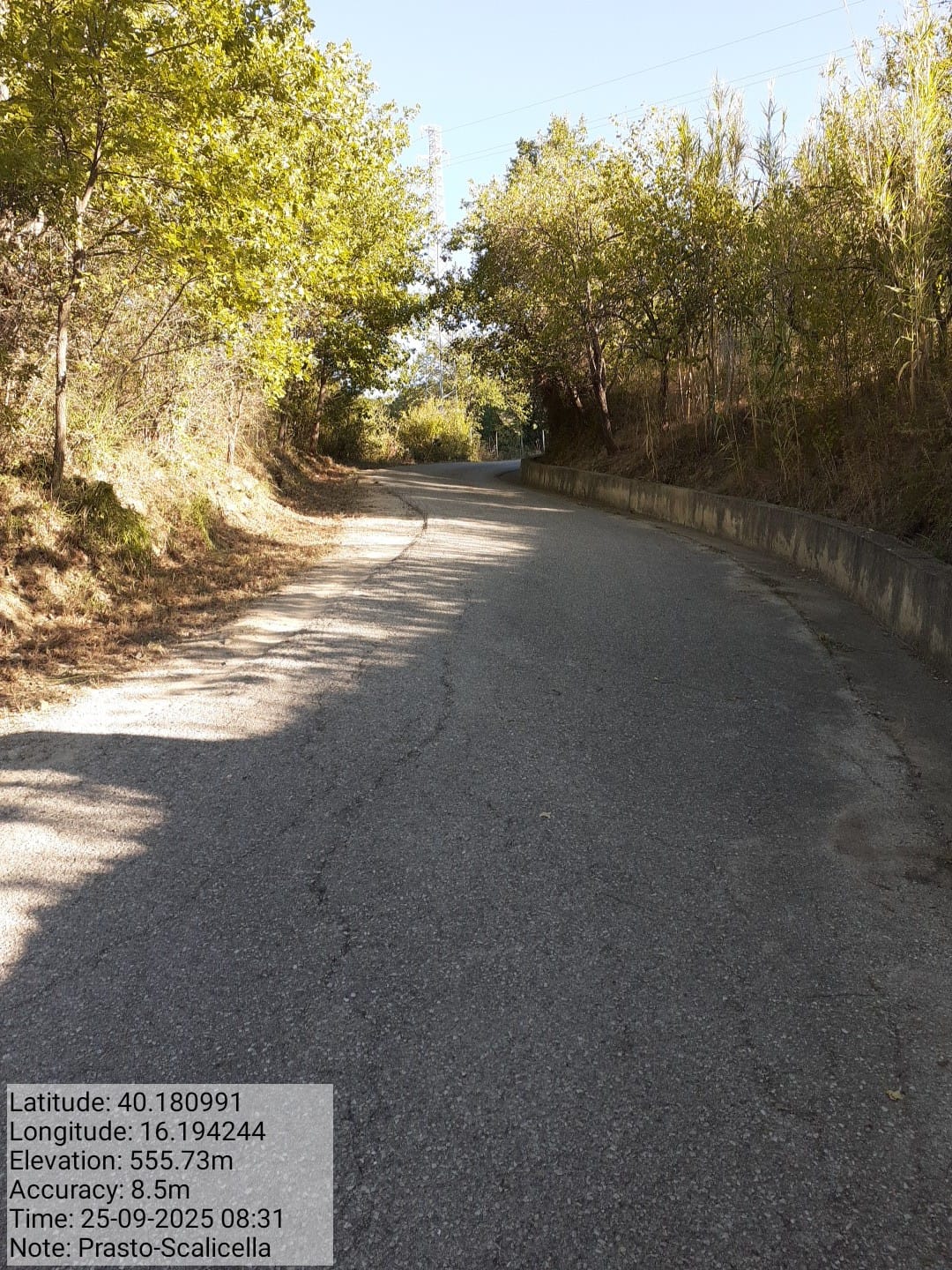 Galleria Fotografica Immagine