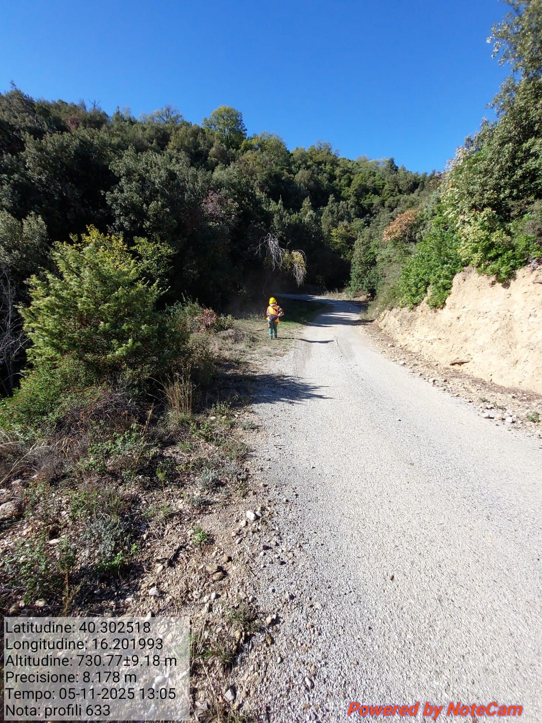 Galleria Fotografica Immagine