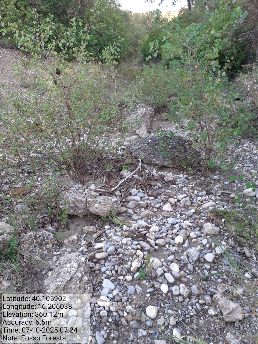 Galleria Fotografica Immagine