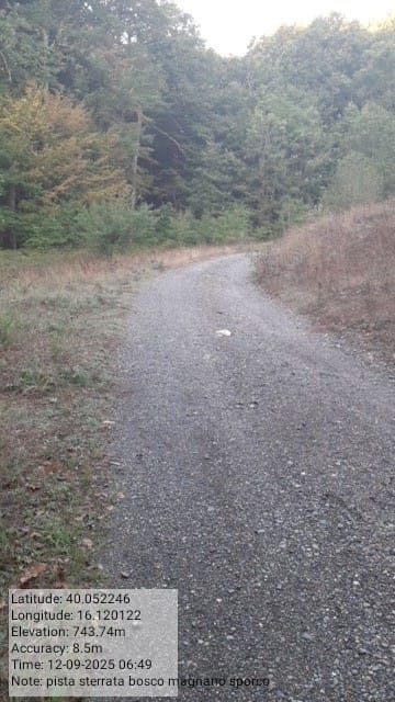 Galleria Fotografica Immagine