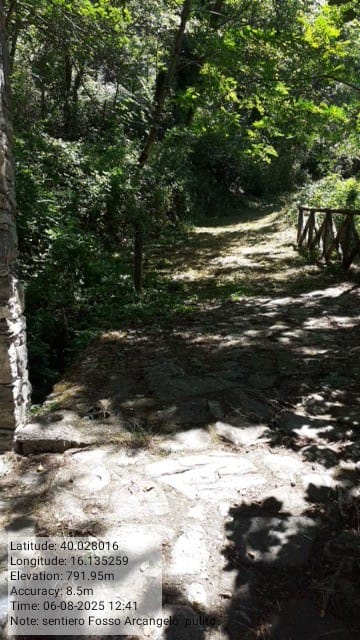 Galleria Fotografica Immagine