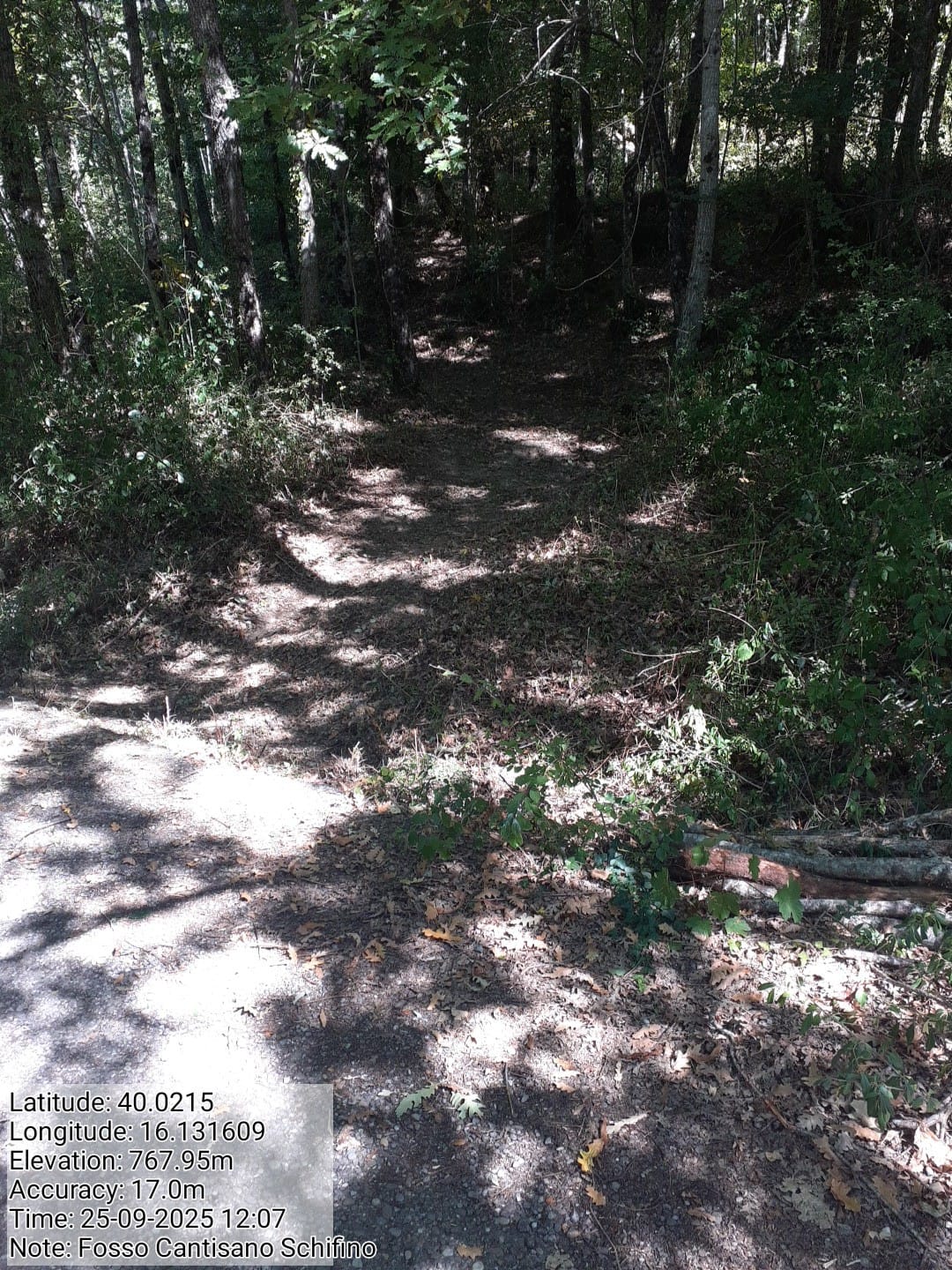 Galleria Fotografica Immagine