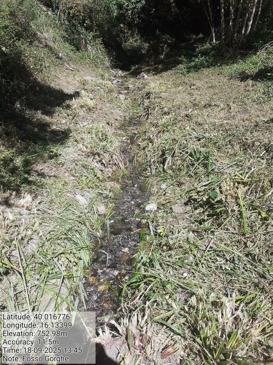 Galleria Fotografica Immagine