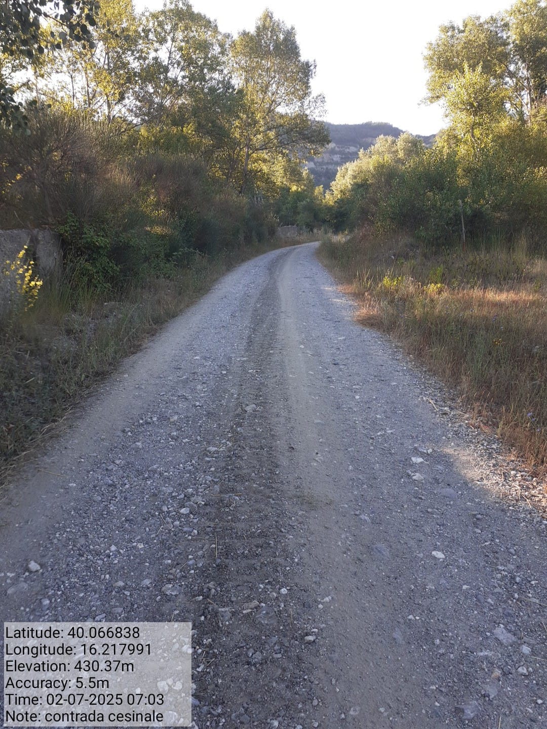 Galleria Fotografica Immagine