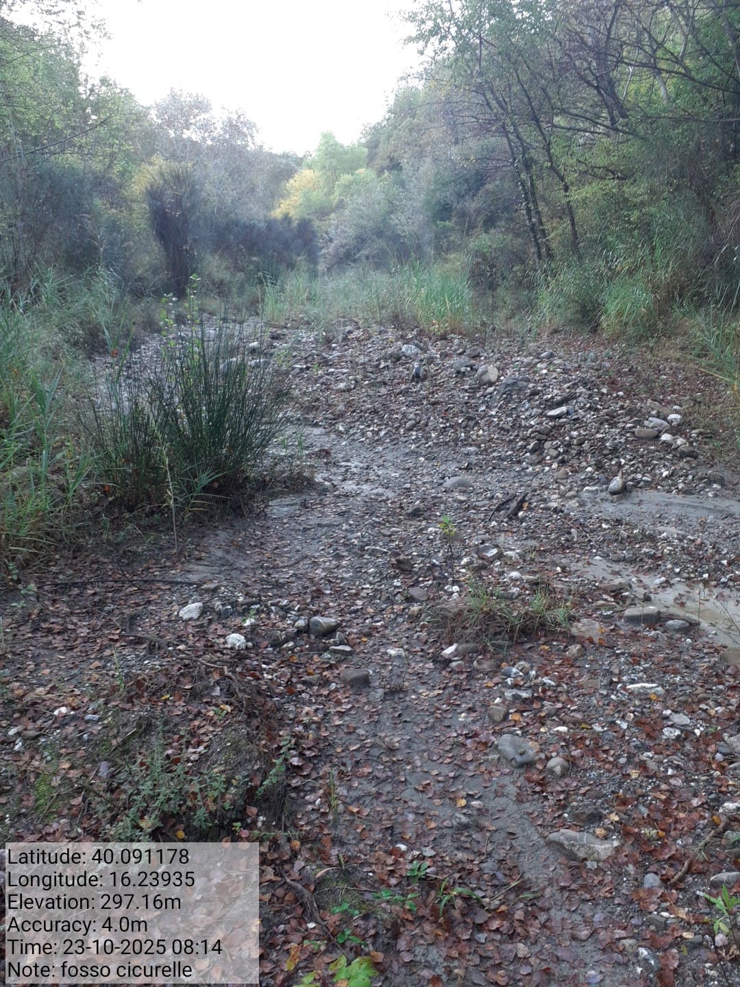 Galleria Fotografica Immagine