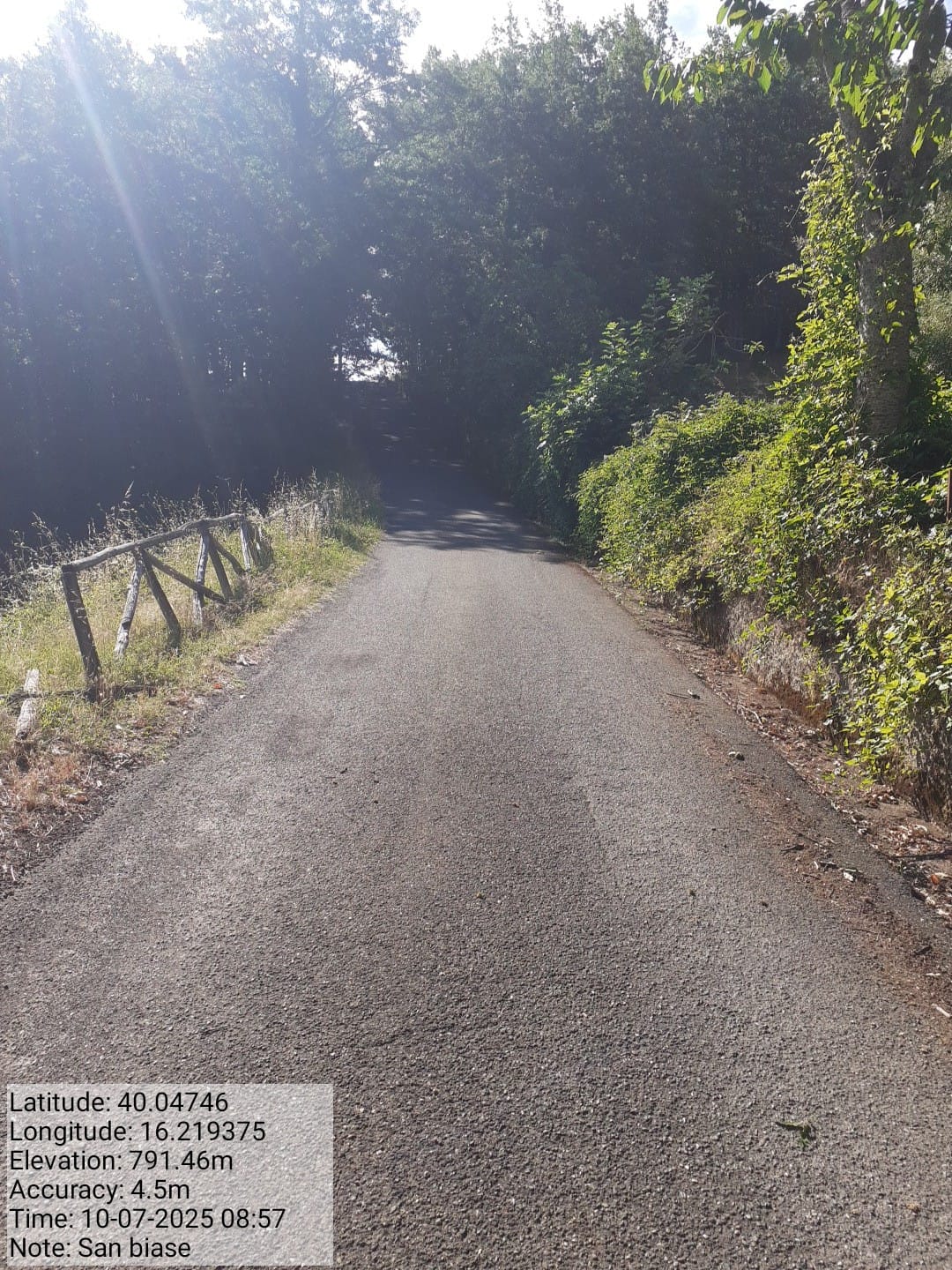 Galleria Fotografica Immagine