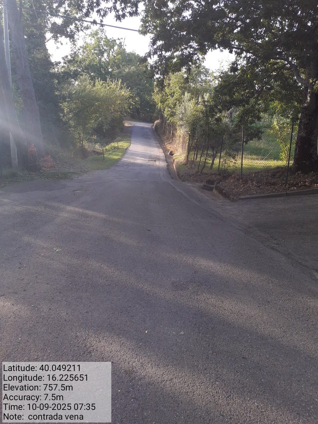 Galleria Fotografica Immagine