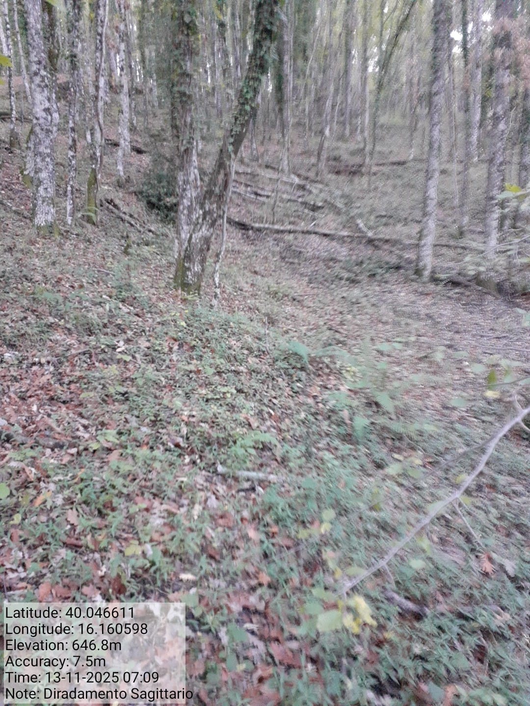 Galleria Fotografica Immagine