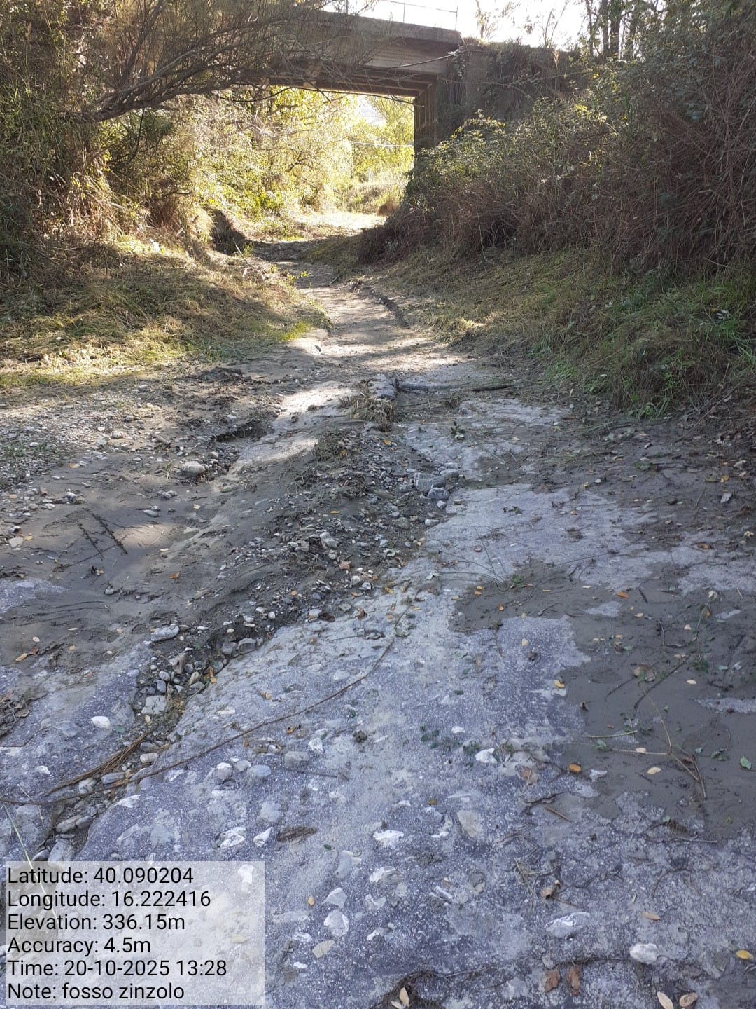 Galleria Fotografica Immagine