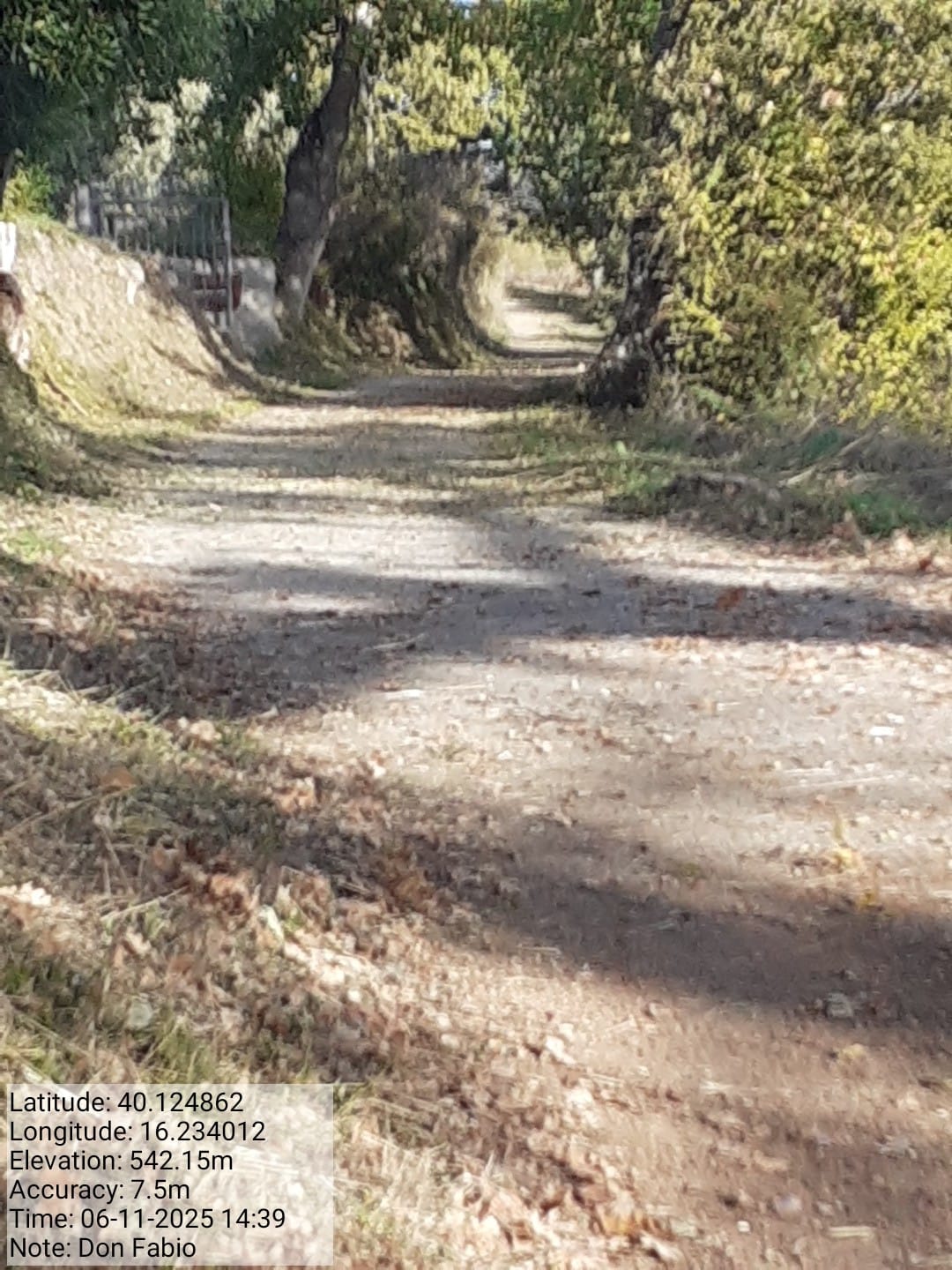 Galleria Fotografica Immagine