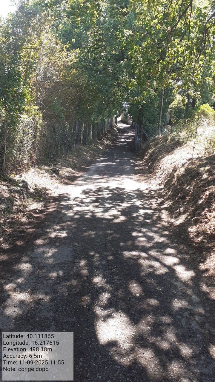 Galleria Fotografica Immagine