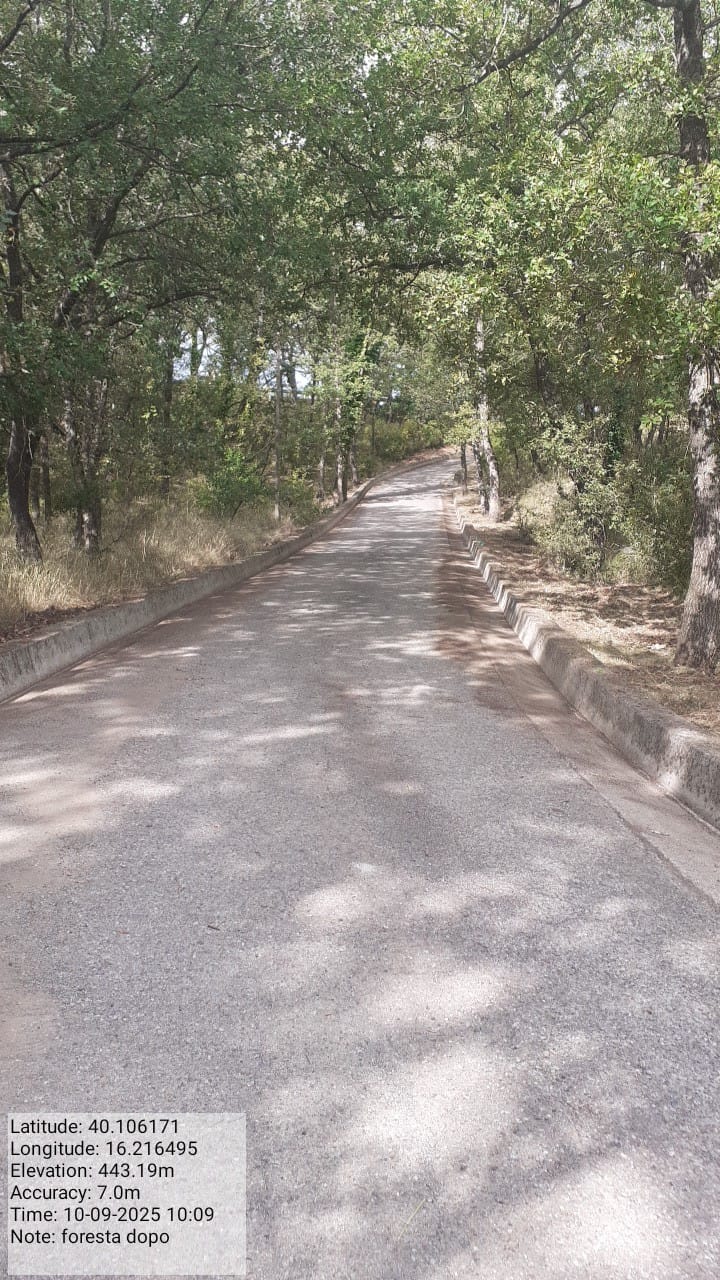 Galleria Fotografica Immagine