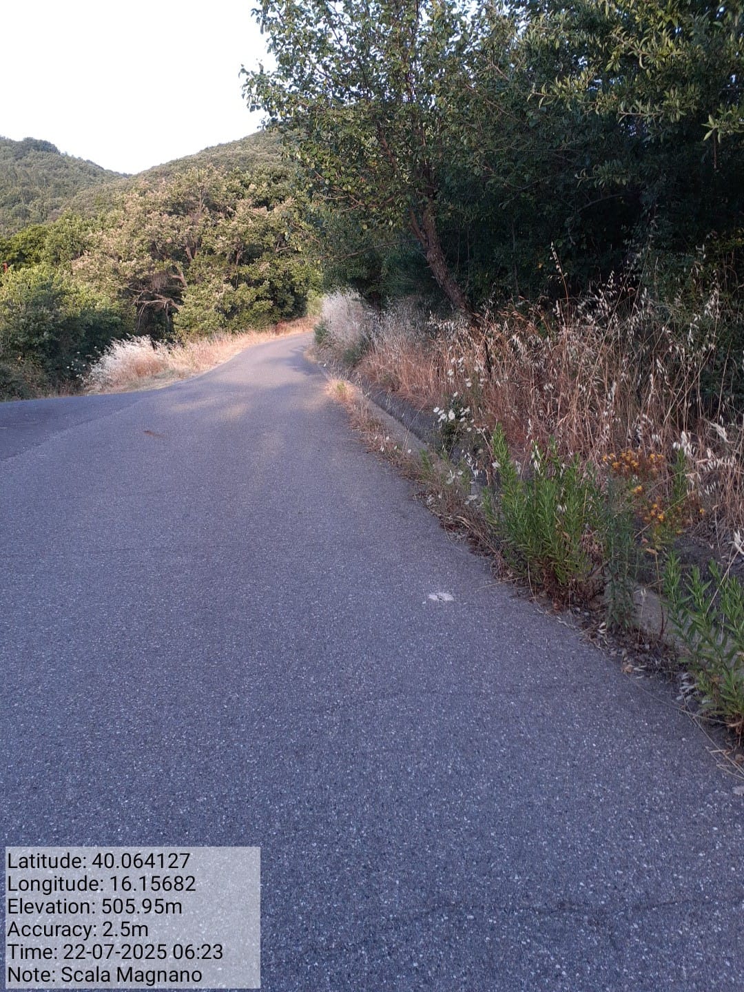 Galleria Fotografica Immagine