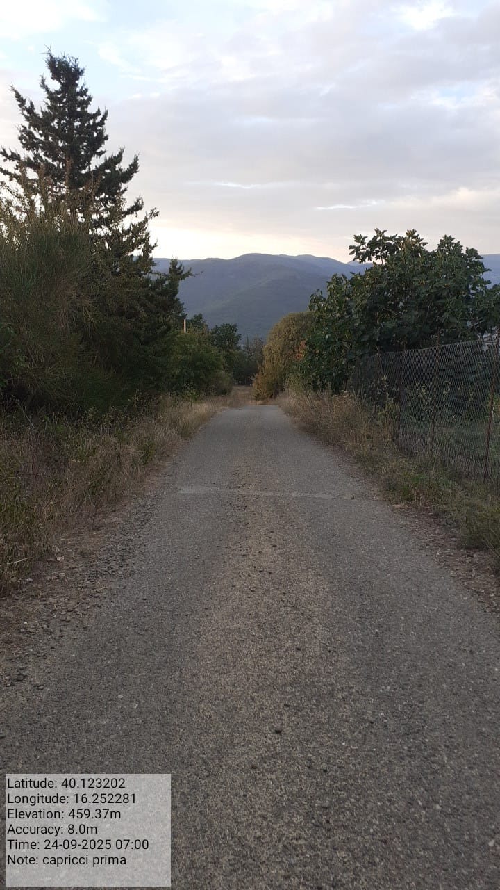 Galleria Fotografica Immagine